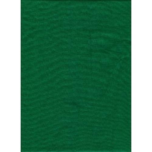 ProMaster Solid Backdrop - 6' x 10' (Chromakey Green) at PROCAM | procam.com