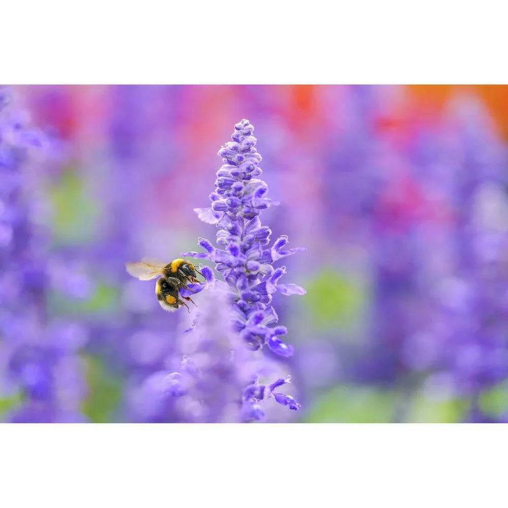 Sigma 105mm f/2.8 DG DN Macro ART Lens for Sony E at PROCAM | procam.com