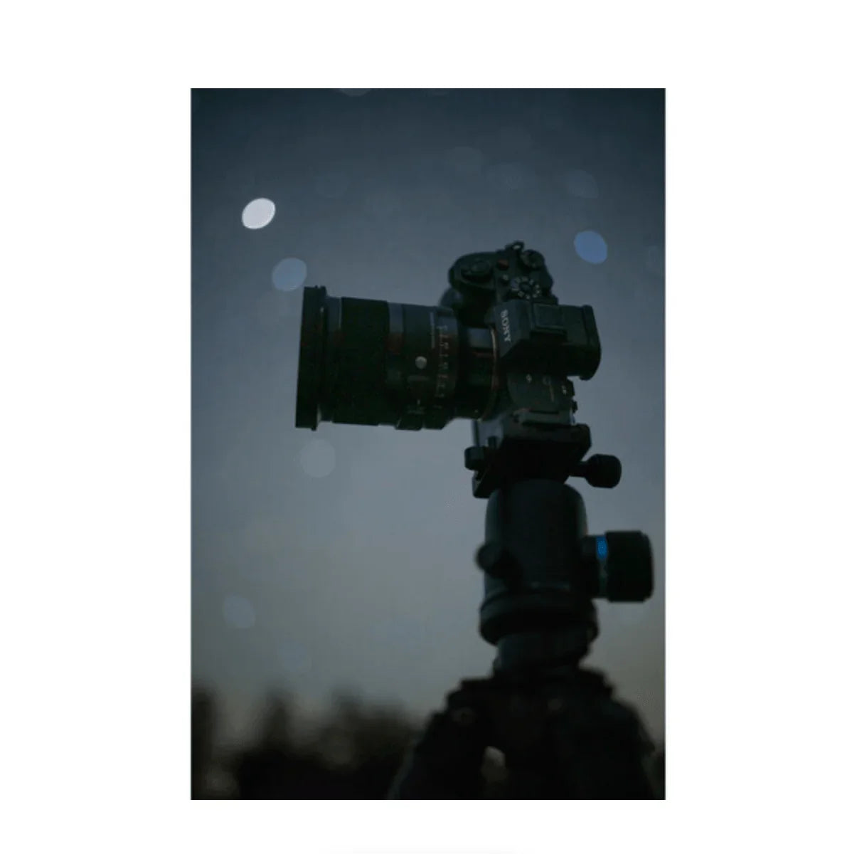 Sigma 20mm f/1.4 DG DN Art Lens for Sony E at PROCAM | procam.com