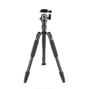 Sirui T-024SK Carbon Fiber Tripod with B-00 Ball Head (Black) at PROCAM | procam.com