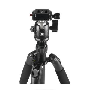 Sirui T-024SK Carbon Fiber Tripod with B-00 Ball Head (Black) at PROCAM | procam.com