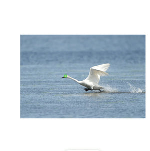 Sony a7R V Mirrorless Camera at PROCAM | procam.com