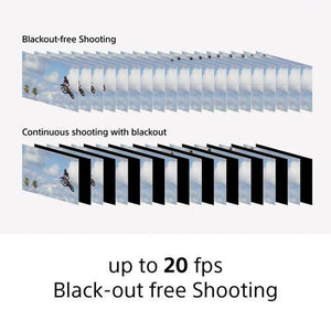 Sony Cyber-shot DSC-RX100 VII Digital Camera | PROCAM