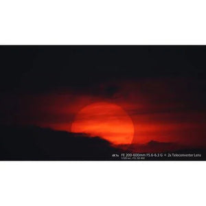 Sony FE 200-600mm f/5.6-6.3 G OSS Lens at PROCAM | procam.com