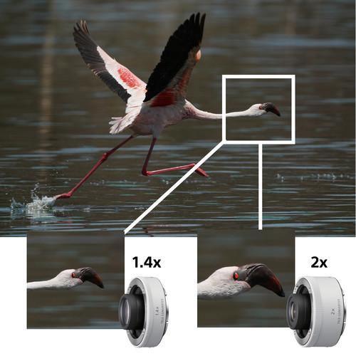 Sony FE 200-600mm f/5.6-6.3 G OSS Lens at PROCAM | procam.com