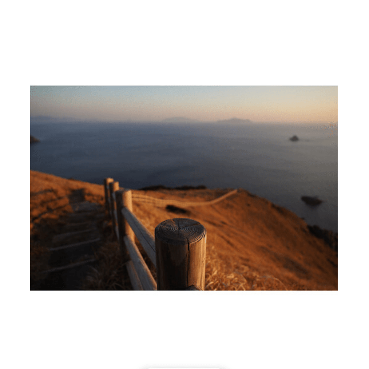 Sony FE 24-70mm f/2.8 GM II Lens | PROCAM