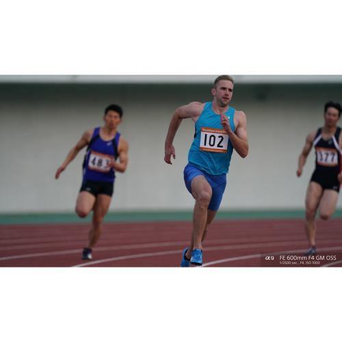 Sony FE 600mm f/4 GM OSS Lens at PROCAM | procam.com