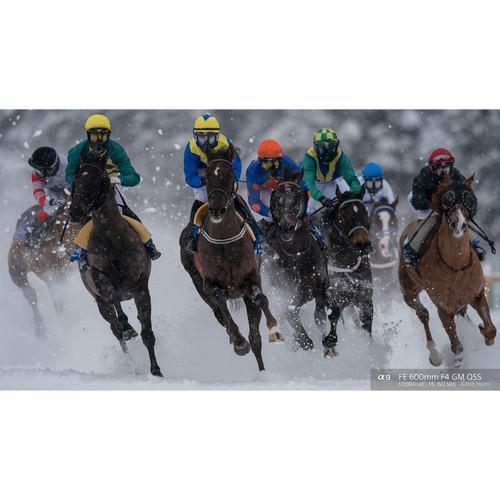 Sony FE 600mm f/4 GM OSS Lens at PROCAM | procam.com