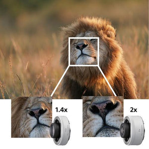 Sony FE 600mm f/4 GM OSS Lens at PROCAM | procam.com