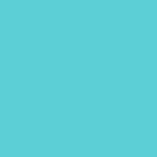 Superior Seamless Background Paper - 107'' X 36 ft - ALPINE at PROCAM | procam.com