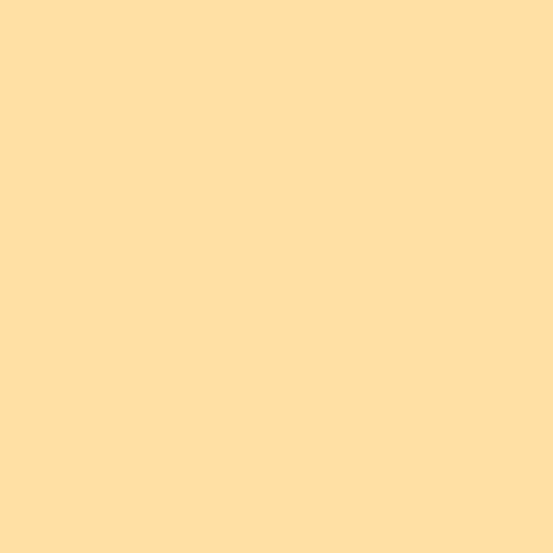 Superior Seamless Background Paper - 107'' X 36 ft - CREAM at PROCAM | procam.com