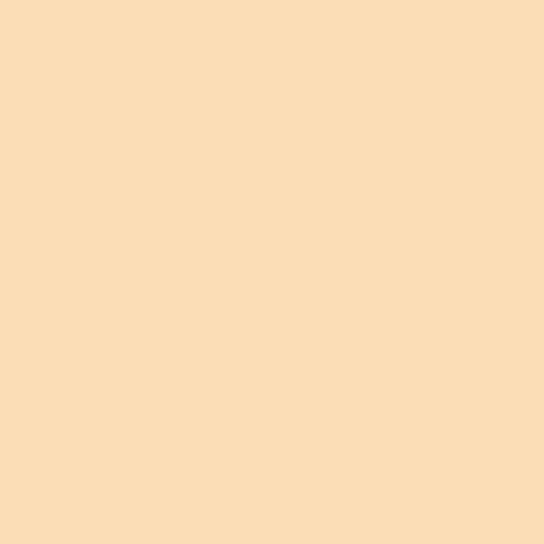 Superior Seamless Background Paper - 107'' X 36 ft - FAWN at PROCAM | procam.com