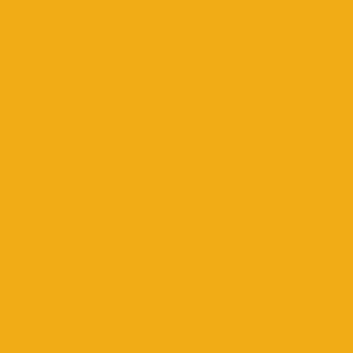 Superior Seamless Background Paper - 107'' X 36 ft - FORSYTHIA at PROCAM | procam.com