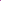 Superior Seamless Background Paper - 107'' X 36 ft - GRAPE | PROCAM
