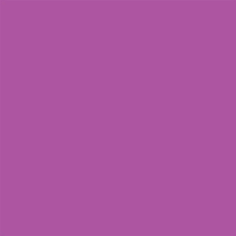 Superior Seamless Background Paper - 107'' X 36 ft - GRAPE at PROCAM | procam.com