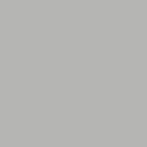 Superior Seamless Background Paper - 107'' X 36 ft - SLATE GREY | PROCAM
