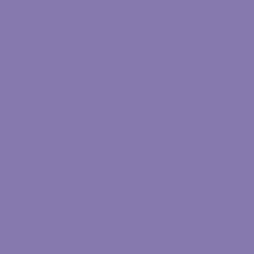 Superior Seamless Background Paper - 107'' X 36 ft - THISTLE at PROCAM | procam.com