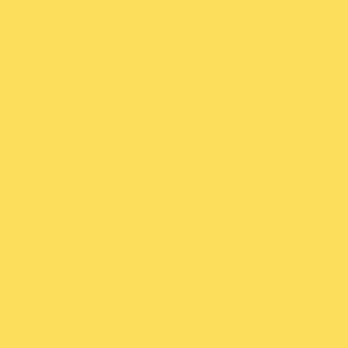 Superior Seamless Background Paper - 53'' x 36 ft - Aspen (Core) at PROCAM | procam.com
