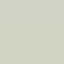 Superior Seamless Background Paper - 53'' x 36 ft - Dull Aluminum (Core)