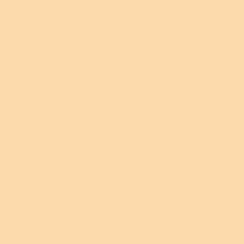 Superior Seamless Background Paper - 53'' x 36 ft - Wheat (Core) at PROCAM | procam.com