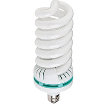 Westcott Daylight Fluorescent Bulb (85-watt)