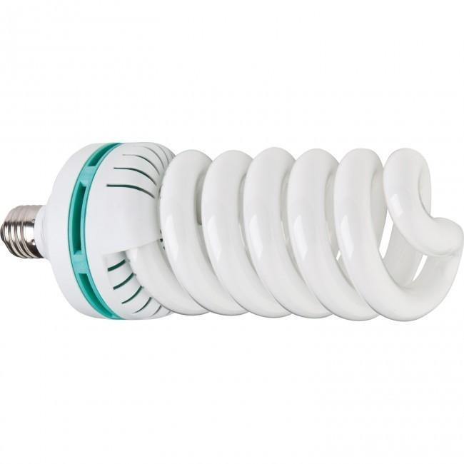 Westcott Daylight Fluorescent Bulb (85-watt) | PROCAM