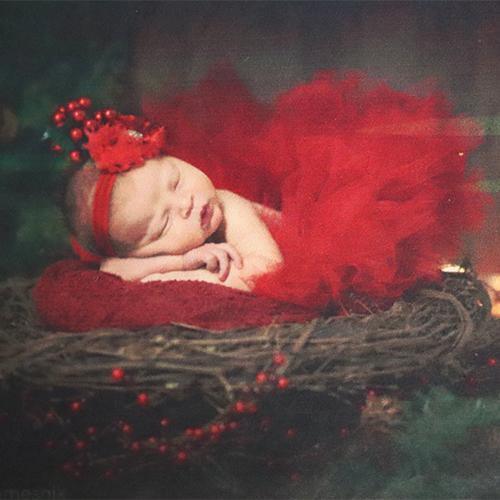Westcott Deluxe Holiday Newborn Portrait Bundle (3-6 Months) at PROCAM | procam.com