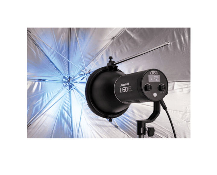 Westcott Gel & Umbrella Reflector Mount for L60-B COB Light | PROCAM
