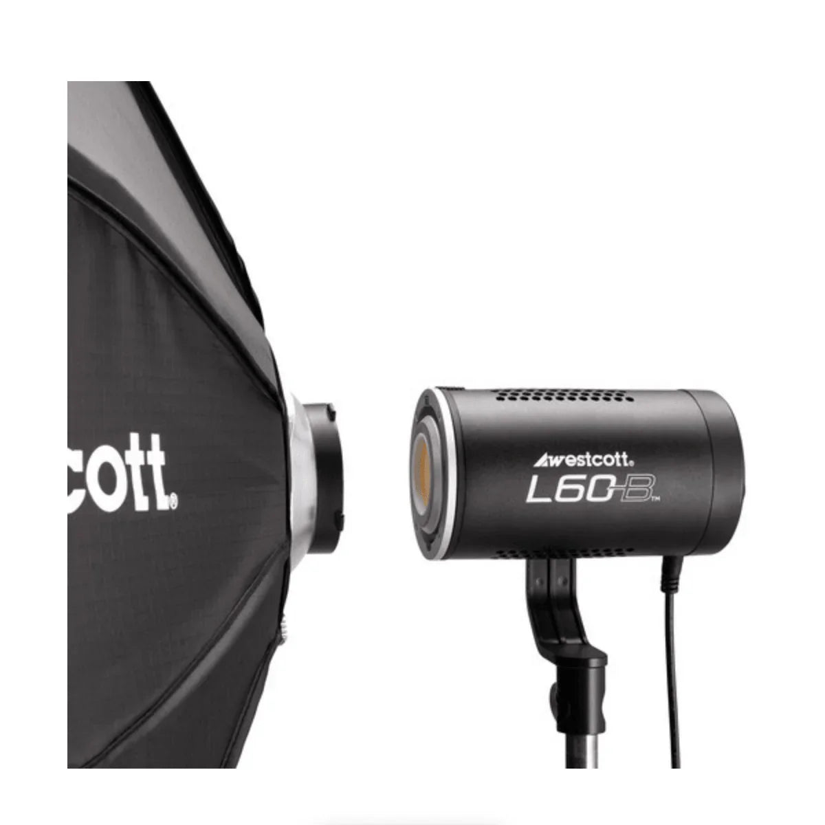 Westcott L60-B COB Bi-Color LED 1-Light Backpack Kit at PROCAM | procam.com