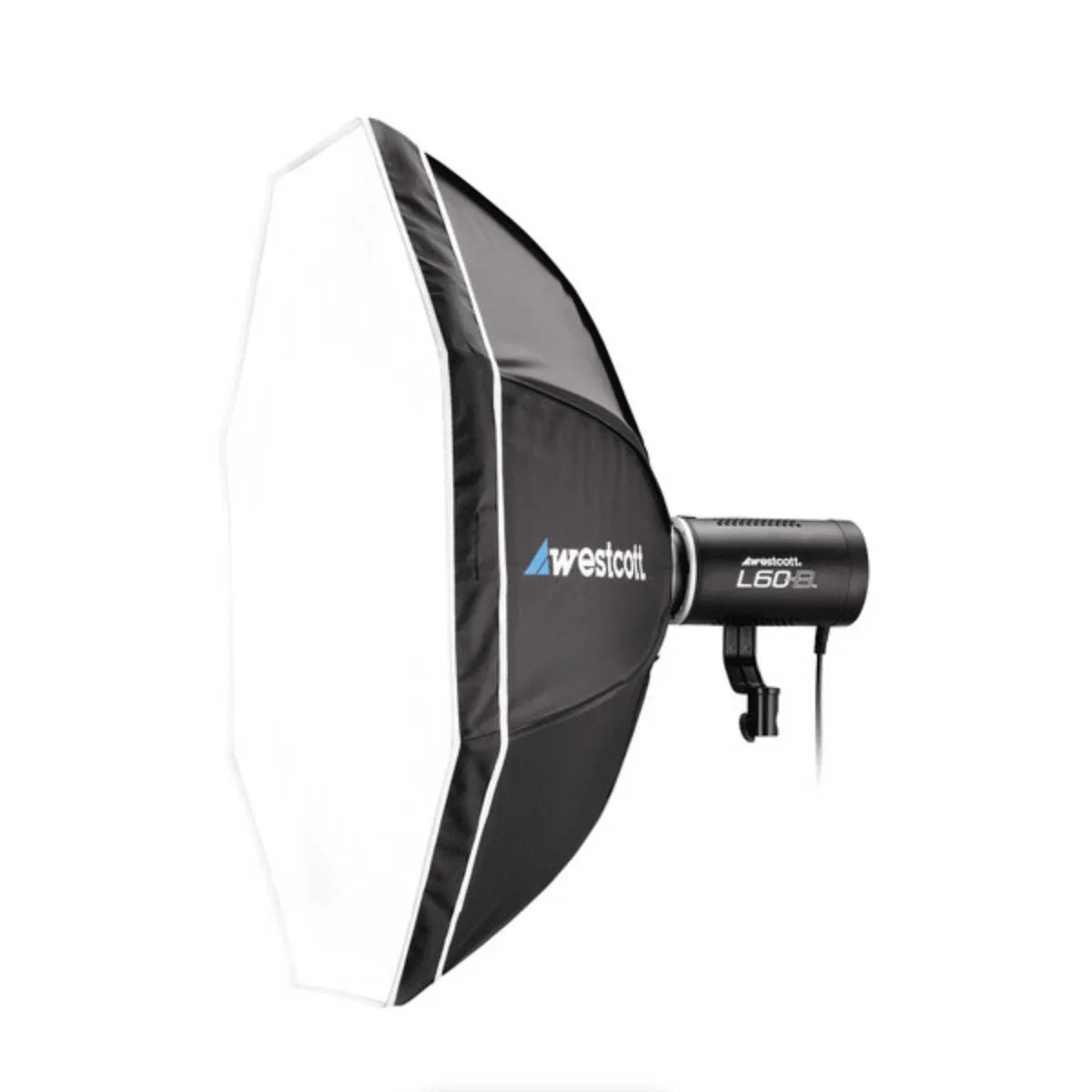 Westcott L60-B COB Bi-Color LED 1-Light Backpack Kit at PROCAM | procam.com