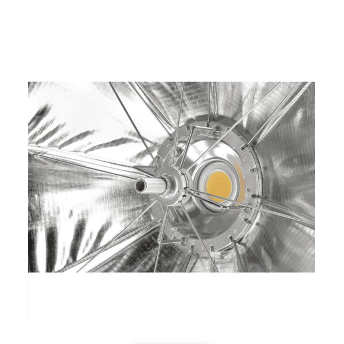 Westcott L60-B COB Bi-Color LED 2-Light Backpack Kit at PROCAM | procam.com