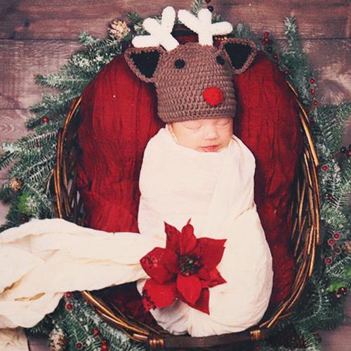 Westcott Little Reindeer Newborn Portrait Bundle (3-6 Months) | PROCAM