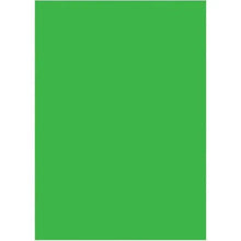 Westcott X-Drop Wrinkle-Resistant Backdrop - Chroma-Key Green (5' x 7')